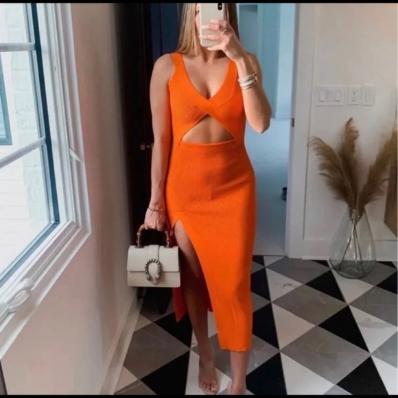 Zara | Dresses | Zara Limited Edition 